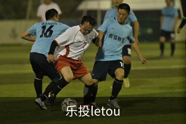 乐投letou公司简介图